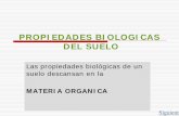 PROPIEDADES BIOLOGICAS DEL SUELO - RRNN2011rrnn2011.wikispaces.com/file/view/materia_organica+1.pdf · y reserva de las plantas y la pared ... Mucopolisacáridos aportados por las
