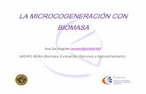 Microcogeneración con biomasa - · PDF fileFuente: ENAMORA. Parámetros característicos • De carácter termodinámico: – Energía asociada al combustible: F – Rendimiento eléctrico: