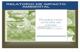 RELATORIO DE IMPACTO AMBIENTAL - seam.gov.py · PDF filerelatorio de impacto ambiental produccion avÍcola consultor ambiental