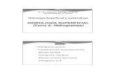 Hidrología Superficial y subterránea - caminos.udc.escaminos.udc.es/info/asignaturas/grado_itop/415/pdfs/Tema 2... · •Método del Hidrograma Unitario Primer principio: En una