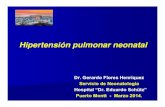 Hipertensión pulmonar neonatal - Neo Puerto Monttneopuertomontt.com/ReunionesClinicas/hipertensionpulmonarmarzo201… · En 1969 Gersony describe grupo de RNT que presentan cianosis