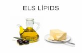 ELSLÍPIDS - · PDF file•Són les biomolècules més apropiades per emmagatzemar energia, ja que tenen més enllaços entre C i H que els glúcids i les proteïnes i per tant, s
