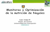 Monitoreo y Optimización de la nutrición de Nogales nogales 2017.pdf · Diseño de un programa de Fertirriego • Determinación de la demanda • Definición de su fenología •