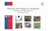 Manejo Riego Nogales - inia. · PDF fileRiego por aspersi ón 0.4 - 0.7 0.6 – 0.3 Cultivos perennes, textura fina, ra íces profundas, clima suave 0.8 0.2 Cultivo de baja densidad