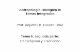 Antropología Biológica III Temas Integrados Prof. Adjunto ... · PDF fileDogma Central de la Biología Molecular secuencia lineal de d-Nucleótidos secuencia lineal de Nucleótidos