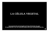 LA CÉLULA VEGETAL - botanicarum.weebly.combotanicarum.weebly.com/uploads/5/4/7/6/54762723/014_la_celula... · la difusión de enzimas y toxinas de hongos hacia la planta. ... Fig.1