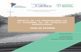 IMPACTO DE LAS INUNDACIONES EN LA ECONOMÍA DE · PDF file4 5 El estudio de caso “Impacto de las inundacio-nes en la economía de un Productor Agrope-cuario” pretende entender