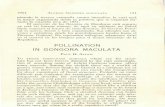 POLLINATION IN GONGORA MACULATA - Universidad · PDF file1954 ALLENs GoNGORA MACULATA 121 nizando la tercera 1Campaña contra incendios, la cual será la mejor organizada desde la