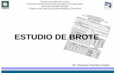 ESTUDIO DE BROTE - · PDF fileTipos de Estudios Epidemiológicos Estudio de ... Caso índice con historia de viaje a Sinaloa 1 5 9 13 17 21 25 29 33 37 41 45 49 1 5 9 13 17 21 25 29