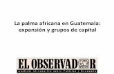 La palma africana en Guatemala: datos y grupos de capitalceur.usac.edu.gt/eventos/Ciudades/Presentaciones/05-La-palma... · precios. • La globalización de los recursos energéticos
