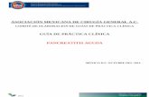 ASOCIACIÓN MEXICANA DE CIRUGÍA GENERAL A · PDF file2014 . asociaciÓn mexicana de cirugÍa general a.c. comitÉ de elaboraciÓn de guÍas de prÁctica clÍnica . guÍa de prÁctica