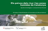 Els peixos dels rius i les zones humides de · PDF fileEls peixos dels rius i les zones humides de Catalunya Qualitat biològica i connectivitat fluvial M. Ordeix, C. Solà, M. Bardina,