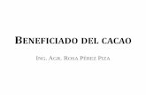 Beneficiado del cacao - Anecacao Ecuadoranecacao.com/uploads/SEMINARIOS/beneficiado-del-cacao-rcpp.pdf · •Baldes •Sacos •Hojas •Palas . ... por las normas establecidas FAO/OMS