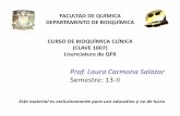 Prof. Laura Carmona Salazar Semestre: 13-IIdepa.fquim.unam.mx/amyd/archivero/Funcionalidad_Renal_22897.pdf · FUNCIÓN RENAL •Conocimiento básico de la anatomía y fisiología