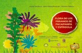 FLORA DE LOS PACAIPAMPA Y ESPNDOLA - · PDF fileSon fuentes de generación y regulación de agua para las cuencas del Catamayo-Chira, del Piura, La Leche, ... en la Hoya Amazónica