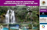 COMITÉ DE PARAJES NATURALES CERTIFICADOS EN  · PDF file1 Puente de Dios 67,500 6.8% ... Integrar un Grupo (Promotor) ... •Estudio para determinar especies de flora y