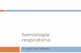 Semiología respiratoria - · PDF fileInspección Inspeccionar planos posterior, anterior y lateral Estado de la piel, tejido celular subcutáneo y las estructuras musculo - esqueléticas