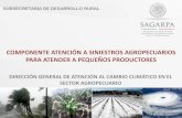 SUBSECRETARÍA DE DESARROLLO RURALcentromariomolina.org/wp-content/uploads/2016/05/Sergio-Lozano... · Fondo para el Apoyo a Proyectos Productivos en Núcleos Agrarios (FAPPA) 3.