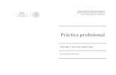 SÉPTIMO Y OCTAVO SEMESTRES - · PDF fileSubsecretaría de Educación Superior Dirección General de Educación Superior para Profesionales de la Educación Práctica profesional SÉPTIMO