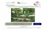 “EVALUACION DE PLANTACIONES FORESTALES” Informe · PDF filePágina 3 Evaluación de plantaciones forestales del Proyecto Bosques del Chinchipe, en Perú. INDICE DE CUADROS Cuadro