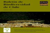 Boletín de Biodiversidad de Chile - · PDF fileEl abejorro B. terrestris se distribuyó antrópicamente (y se sigue comercializando) en muchas localidades, lo que facilitó su asilvestramiento