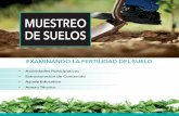 MUESTREO DE SUELOS - Home | Sust · PDF fileSostenible–SCAN Guatemala y ﬁnanciado con fondos de: ... topografía, color o textura del suelo), para esquematizar esta división se