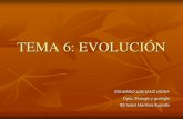 TEMA 6: EVOLUCIÓN -  · PDF fileTEMA 6: EVOLUCIÓN EDUARDO LUIS SANZ ... B.S. Haldane propusieron que la vida se originó en la tierra como ... producían extinciones, tras las