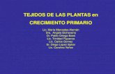 TEJIDOS DE LAS PLANTAS en CRECIMIENTO PRIMARIO · PDF fileSOLOMON VILLE. 2001. Biología 5°Edición McGraw-Hill. LOCALIZACION DE ESCLEREIDAS Braquiesclereidas de la pulpa de pera