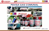 PDVSA GAS COMUNAL - · PDF filecadena de valor transporte pesado plantas de fuentes de suministro llenado u s u aa rr i o s ingenierÍa procura construcciconstrucciÓÓnn pl a n na
