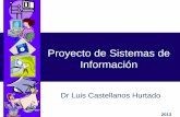 Análisis y Diseño de Sistemas de Información · PDF fileProyecto de Sistemas de Información Luis Castellanos 4 Introducción Sistema Conjunto de partes interrelacionadas, que persiguen