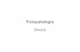 Fisiopatología Shock - app.ffyb.uba.arapp.ffyb.uba.ar/doc/Shock.pdf · Anafilactico . Lesión celular en el shock El shock puede definirse como la situación aguda en la que una