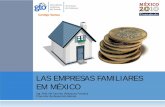 LAS EMPRESAS FAMILIARES EM MÉXICOsegob.guanajuato.gob.mx/sil/docs/articulos/Empresas_Familiares.pdf · relacionados con el rendimiento y los resultados; en la familia ... etapa inicial