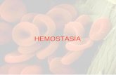 HEMOSTASIA -   · PDF fileEndotelio vascular Capa de células que tapiza el interior de todos los vasos sanguíneos. Cuando está sano facilita la fluidez de la sangre