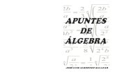 TÉRMINOS SEMEJANTES - · PDF fileAPUNTES DE ÁLGEBRA Ing. José Luis Albornoz Salazar - 1 - ÁLGEBRA ÁLGEBRA es la rama de la Matemática que estudia la cantidad considerada del