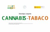 Abordaje conjunto CANNABIS-TABACO - evictproject.orgevictproject.org/.../09/Taller-abordaje-conjunto-cannabis-tabaco.pdf · drogas fumadas ya no es el tabaco sino el propio cannabis.