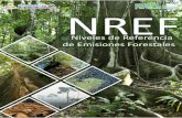 Ministerio del Ambiente y los Recursos - enderedd.sinia.net.nienderedd.sinia.net.ni/Docs/DocENDE/6. Doc. Niveles de Referencia.pdf · Total emisiones por deforestacion y degradacion