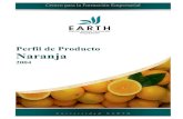 P.rfil de naranja - usi.earth.ac.crusi.earth.ac.cr/glas/sp/50000142.pdf · 3 RESUMEN EJECTUTIVO El cultivo de la naranja en Costa Rica es una actividad agrícola tradicional para