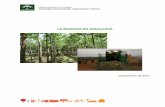 La biomasa en Andalucia - Neobiosurneobiosur.com/wp-content/uploads/2013/10/caa_la_biomasa_en_anda... · 5555 2.1. Biomasa del olivar Destaca la biomasa del olivar como punto preferente