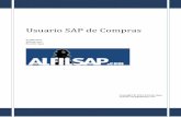 Usuario SAP de Compras - · PDF filedatos maestros sobre los que se va a realizar cada una de las mismas. ... Pág 2 de 155 c. MM dentro de SAP ... aunque siempre es posible acceder