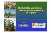 Rentabilidad económica de plantaciones de almendro en · PDF file106 Resultados y condiciones previas 9Los resultados dependen de producciones, precios de factores y consumos. 9La