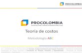 Teoría de costos - Simulador de Costos DFIsimuladordecostos.procolombia.co/dfi/Tmp/Metodologia ABC.pdf · Impacto de los Costos Logísticos ... Clasificarlas usando la matriz proceso