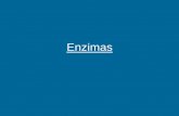 Enzimas - Bioquimica Kinesiologia UNLaM · PDF fileISOENZIMAS: Son enzimas que difieren en la secuencia de aminoácidos, pero que catalizan la misma reacción química. Ejemplo: LACTATO