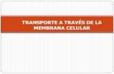 TRANSPORTE A TRAVÉS DE LA MEMBRANA CELULAR · PDF fileAcuaporinas Transporte de agua. Transporte Pasivo - Solutos