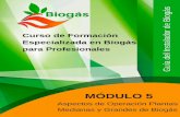 Curso de Formación Especializada en Biogás para  · PDF fileControl de calidad y contenidos: ... Ver video de funcionamiento de una planta de biogás ... el nivel de activación