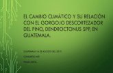 El Cambio Climático y su Relación con el Gorgojo ...agromip.com.gt/ponencias /CONFERENCIAS SALON RUBI/2... · Gorgojo Descortezador del Pino en Honduras, año 2,015 2015 ...
