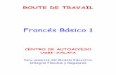 Francés Básico 1 -   · PDF fileFrancés Básico 1 ... Evaluación de sección Ft: Exa 001 . 6 Módulo 1 ... Adjetivos de nacionalidad Ft: Gra 017/ Gra 024 Ft: Voc 005