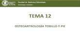 Competencias y resultados de Aprendizaje · PDF fileOSTEOARTROLOGÍA TOBILLO Y PIE . Facultad de Medicina y Odontología . Embriología y Anatomía I . ... Embriología y Anatomía