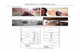 MANGAS Y CORRALES - produccion- · PDF fileSitio Argentino de Producción Animal Tambor de aparte de una sola hoja; puede derivar a dos corrales distintos. Corrales embudo tipo reloj