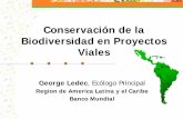 Conservación de la Biodiversidad en Proyectos Viales Ledec.pdf · Cambio del drenaje natural Contaminación o ... Buen Drenaje ¾Incluir obras de arte adecuadas para evitar el bloqueo