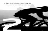 2. ADAPTACIONES FISIOLÓGICAS AL ENTRENAMIENTO DEL · PDF file4 Capítulo 2. Adaptaciones fisiológicas al entrenamiento del ciclista 2.4. Adaptaciones inmunológicas Alfredo Córdova